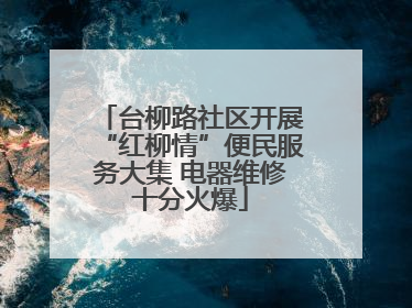 台柳路社区开展“红柳情”便民服务大集 电器维修十分火爆