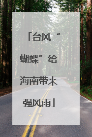 台风“蝴蝶”给海南带来强风雨