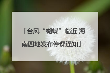 台风“蝴蝶”临近 海南四地发布停课通知