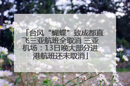 台风“蝴蝶”致成都直飞三亚航班全取消 三亚机场：13日晚大部分进港航班还未取消