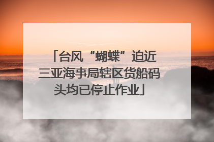 台风“蝴蝶”迫近 三亚海事局辖区货船码头均已停止作业