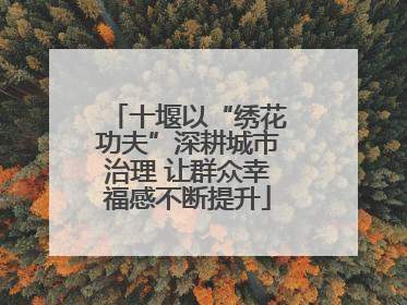 十堰以“绣花功夫”深耕城市治理 让群众幸福感不断提升