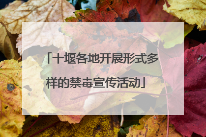 十堰各地开展形式多样的禁毒宣传活动
