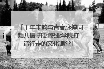 千年宋韵与青春脉搏同频共振 开封职业学院打造行走的文化课堂