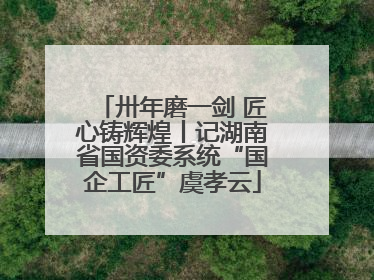 卅年磨一剑 匠心铸辉煌丨记湖南省国资委系统“国企工匠”虞孝云