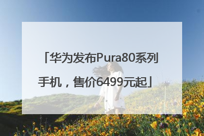 华为发布Pura80系列手机，售价6499元起