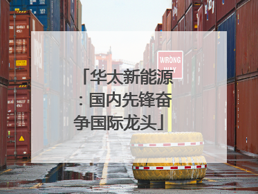 华太新能源：国内先锋奋争国际龙头