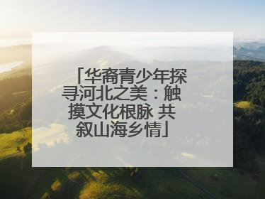 华裔青少年探寻河北之美：触摸文化根脉 共叙山海乡情