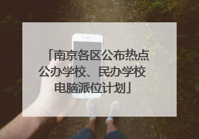 南京各区公布热点公办学校、民办学校电脑派位计划