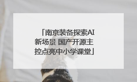 南京装备探索AI新场景 国产开源主控点亮中小学课堂