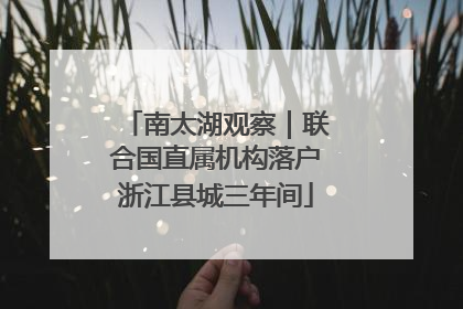 南太湖观察｜联合国直属机构落户浙江县城三年间