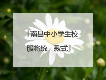 南昌中小学生校服将统一款式