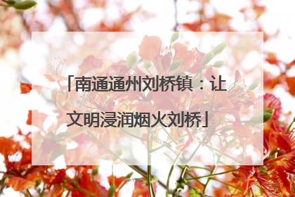 南通通州刘桥镇：让文明浸润烟火刘桥