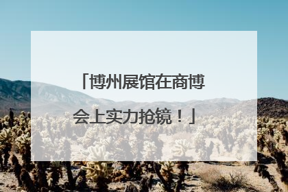 博州展馆在商博会上实力抢镜！