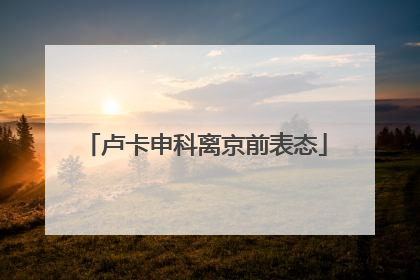 卢卡申科离京前表态