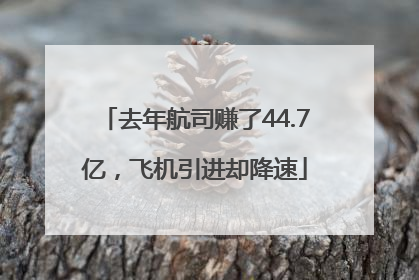 去年航司赚了44.7亿，飞机引进却降速