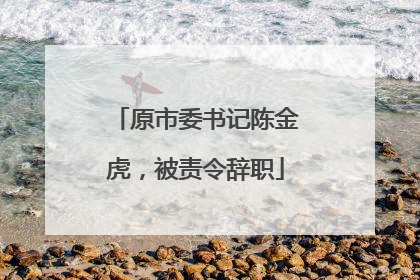 原市委书记陈金虎，被责令辞职