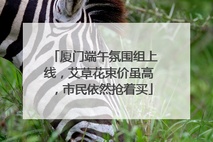 厦门端午氛围组上线，艾草花束价虽高，市民依然抢着买