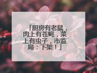 厨房有老鼠，肉上有苍蝇，菜上有虫子，市监局：下架！