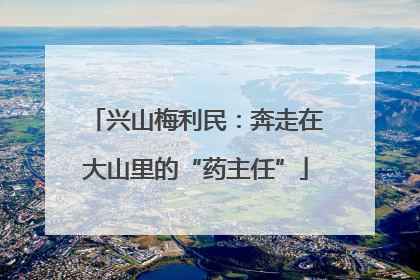 兴山梅利民：奔走在大山里的“药主任”