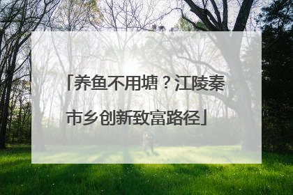 养鱼不用塘？江陵秦市乡创新致富路径