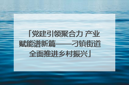 党建引领聚合力 产业赋能谱新篇——刁镇街道全面推进乡村振兴