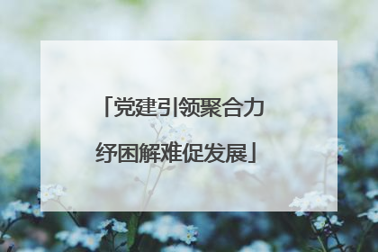 党建引领聚合力 纾困解难促发展