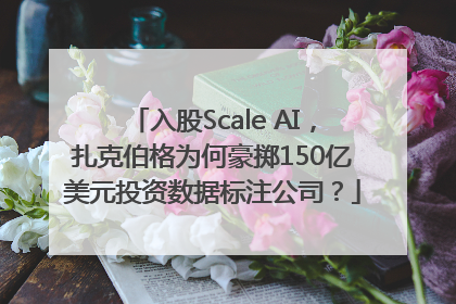 入股Scale AI，扎克伯格为何豪掷150亿美元投资数据标注公司？