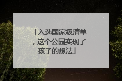 入选国家级清单，这个公园实现了孩子的想法