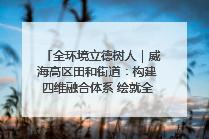 全环境立德树人｜威海高区田和街道：构建四维融合体系 绘就全环境立德树人新画卷