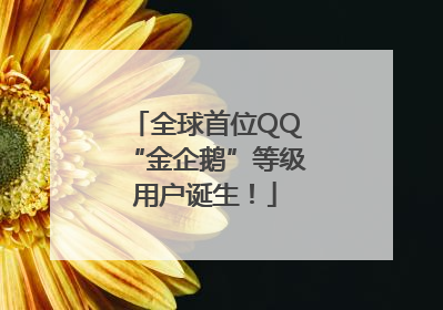 全球首位QQ“金企鹅”等级用户诞生！