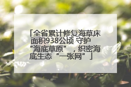 全省累计修复海草床面积938公顷 守护“海底草原”，织密海底生态“一张网”