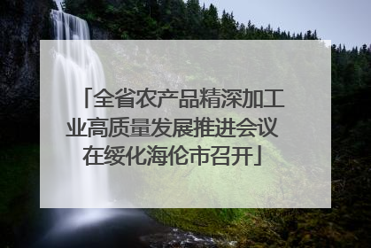 全省农产品精深加工业高质量发展推进会议在绥化海伦市召开