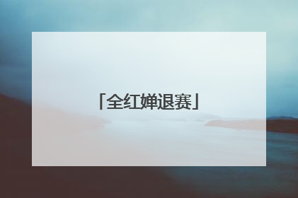 全红婵退赛