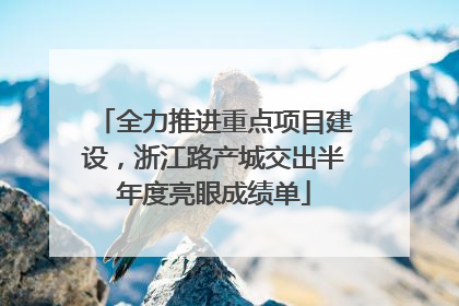 全力推进重点项目建设，浙江路产城交出半年度亮眼成绩单