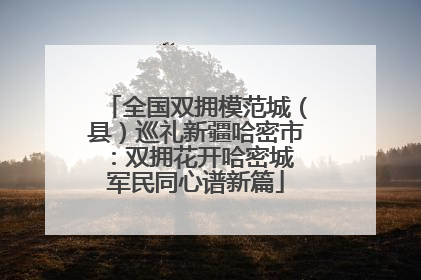 全国双拥模范城（县）巡礼新疆哈密市：双拥花开哈密城 军民同心谱新篇