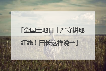 全国土地日丨严守耕地红线！田长这样说→