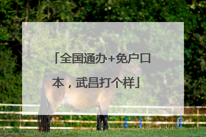 全国通办+免户口本，武昌打个样