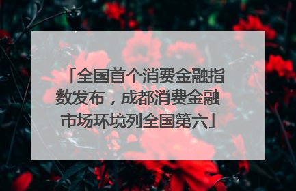 全国首个消费金融指数发布，成都消费金融市场环境列全国第六