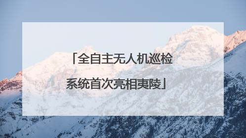 全自主无人机巡检系统首次亮相夷陵