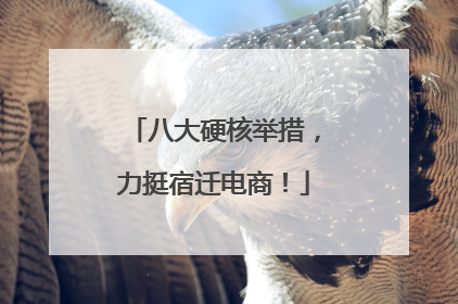 八大硬核举措，力挺宿迁电商！