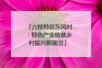 六枝特区东风村：特色产业绘就乡村振兴新图景