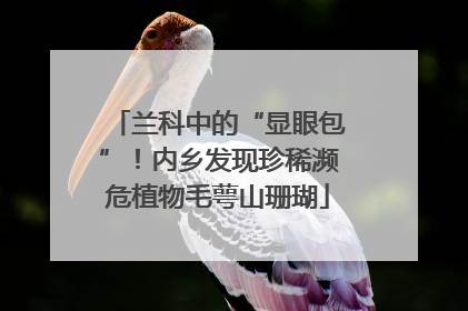 兰科中的“显眼包”！内乡发现珍稀濒危植物毛萼山珊瑚
