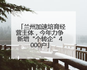 兰州加速培育经营主体，今年力争新增“个转企”4000户