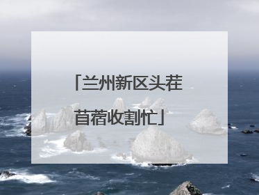 兰州新区头茬苜蓿收割忙
