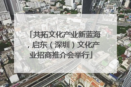 共拓文化产业新蓝海，启东（深圳）文化产业招商推介会举行
