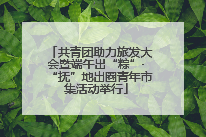 共青团助力旅发大会暨端午出“粽”·“抚”地出圈青年市集活动举行