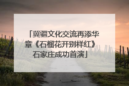 冀疆文化交流再添华章《石榴花开别样红》石家庄成功首演