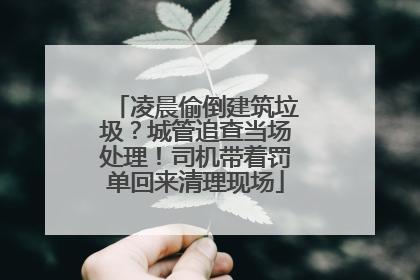 凌晨偷倒建筑垃圾？城管追查当场处理！司机带着罚单回来清理现场