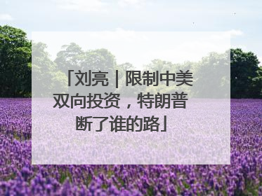 刘亮｜限制中美双向投资，特朗普断了谁的路